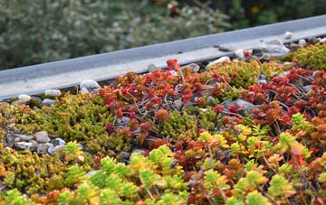 the cost of Meaver green roof installation