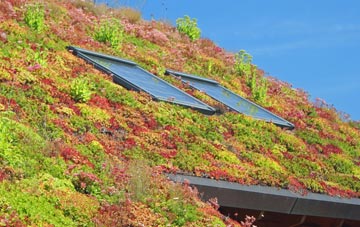 Meaver living roof systems